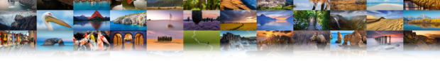 Collage of Windows Spotlight images